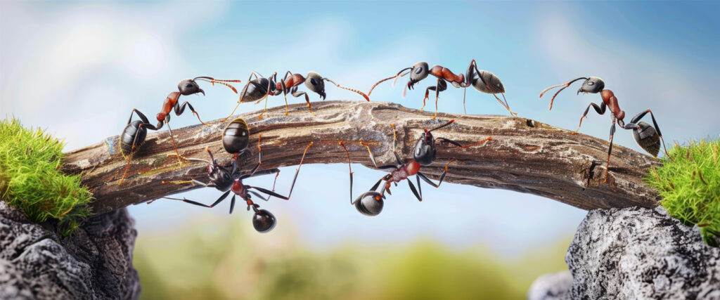 मुंगीवरून जगप्रवास